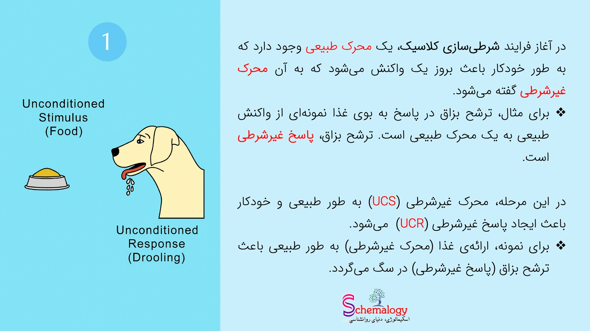 مرحله اول شرطی سازی کلاسیک