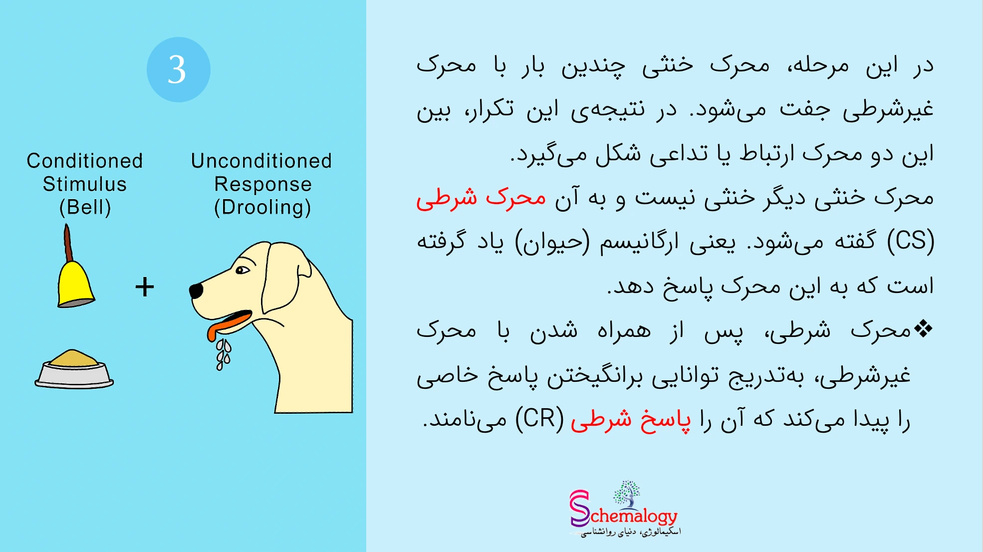 مرحله سوم شرطی سازی کلاسیک