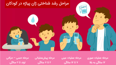 نظریه رشد شناختی پیاژه