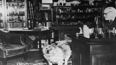 اهمیت زیگموند فروید و روانکاوی