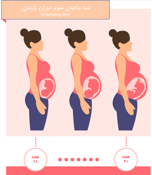 سه ماهه سوم دوران بارداری