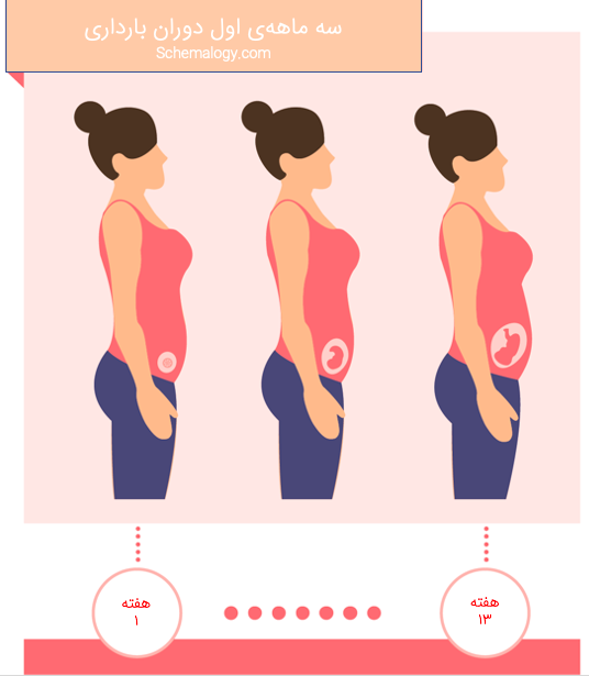 سه ماهه اول دوران بارداری