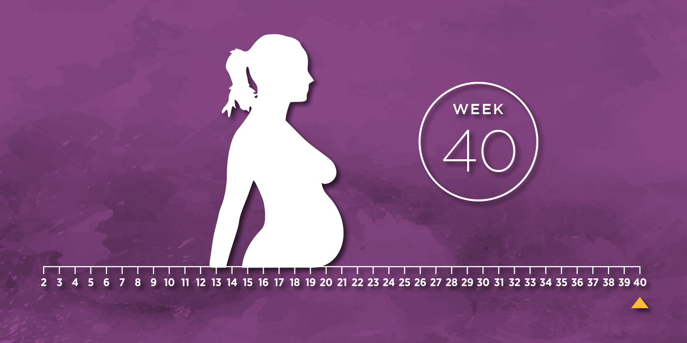 رشد کودک در هفته چهلم بارداری