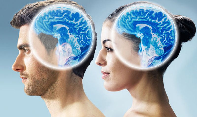 مراحل پاسخ جنسی در انسان و تغییرات مغزی و هورمونی