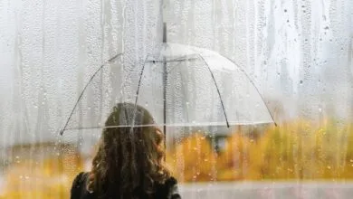 راهنمای بالینی کار با طرحواره نقص و شرم